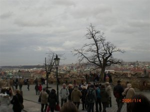 il fiume Moldava