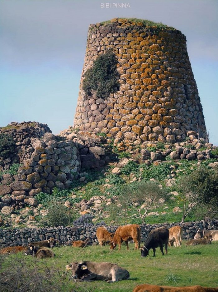 Suni, nuraghe Nuraddeo