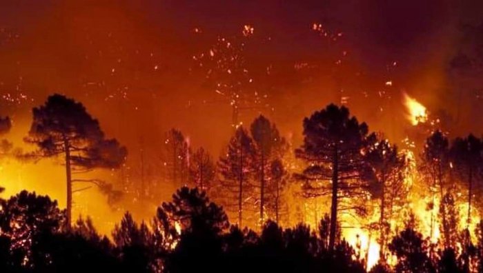 incendi in Sardegna