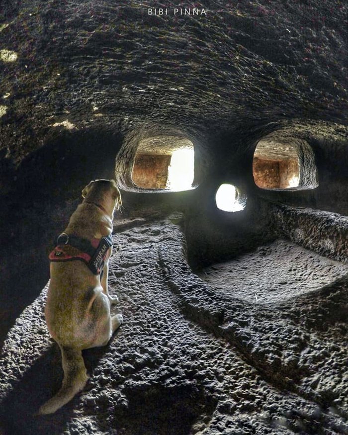 Villaperuccio, Domus de Janas di Monessu