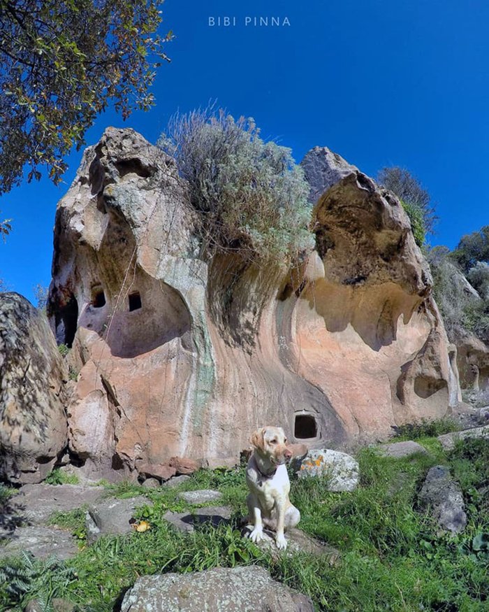 Sorradile, Domus de Janas Su Prunittu