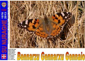 Vanessa cardui