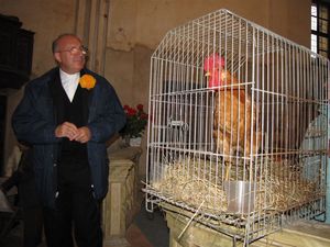 Don Ferdinando e il gallo incantato