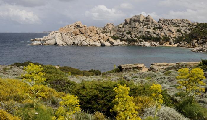 Sardegna, Capo Testa in primavera