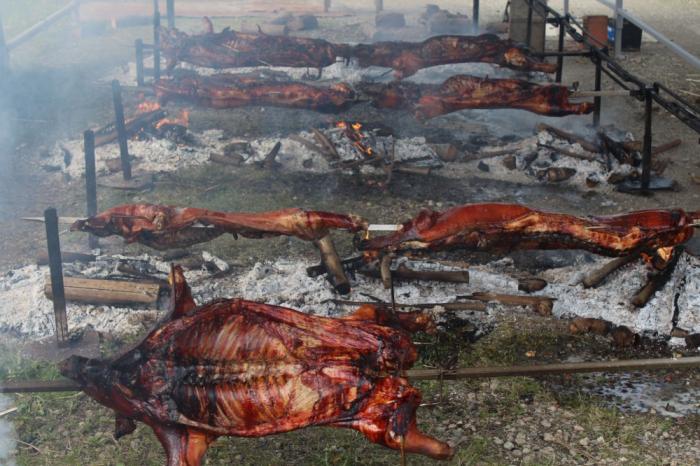 Gaglianico, pranzo benefico, maialini allo spiedo