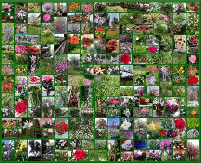 Giardino di Su Nuraghe, mosaico di fiori condivisi al tempo del coronavirus