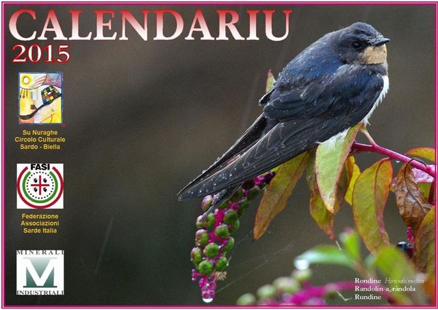 Calendariu 2015