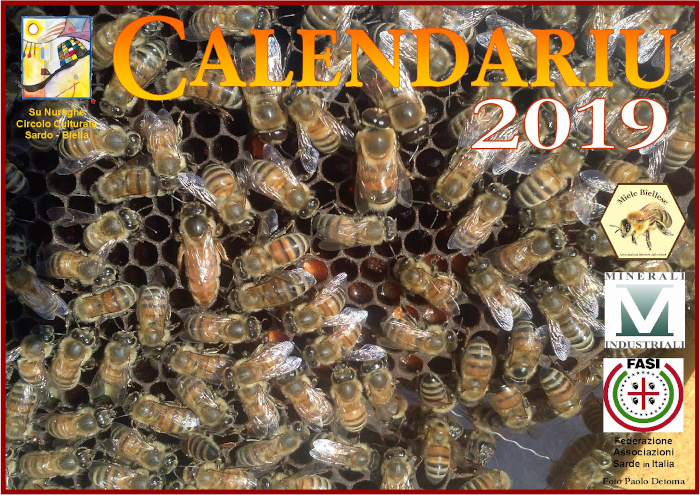 Calendariu 2019